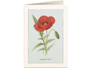 2026_07_10_2277842